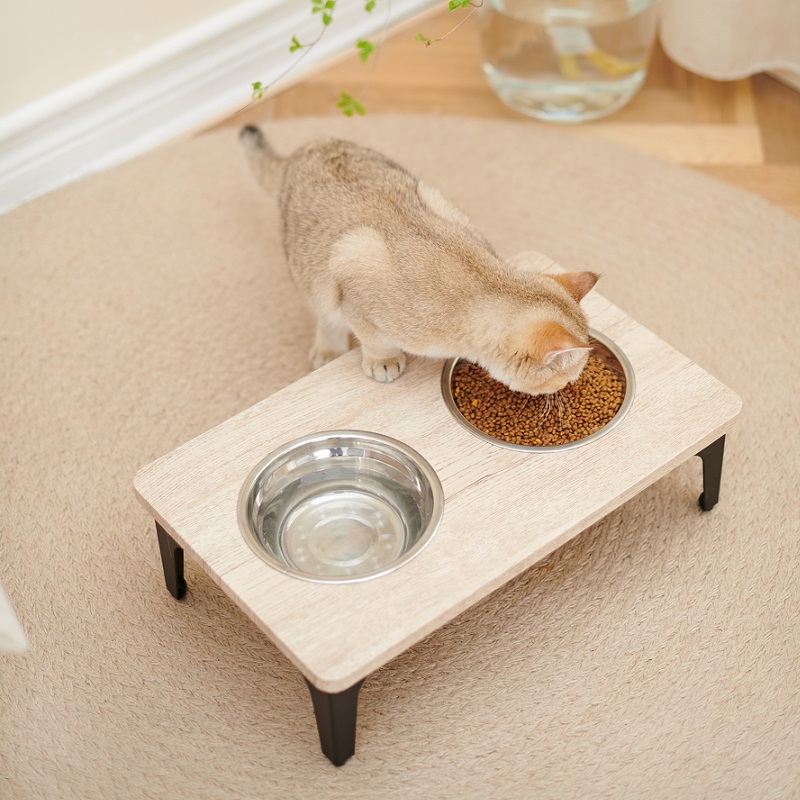 PS974 CAT BOWL