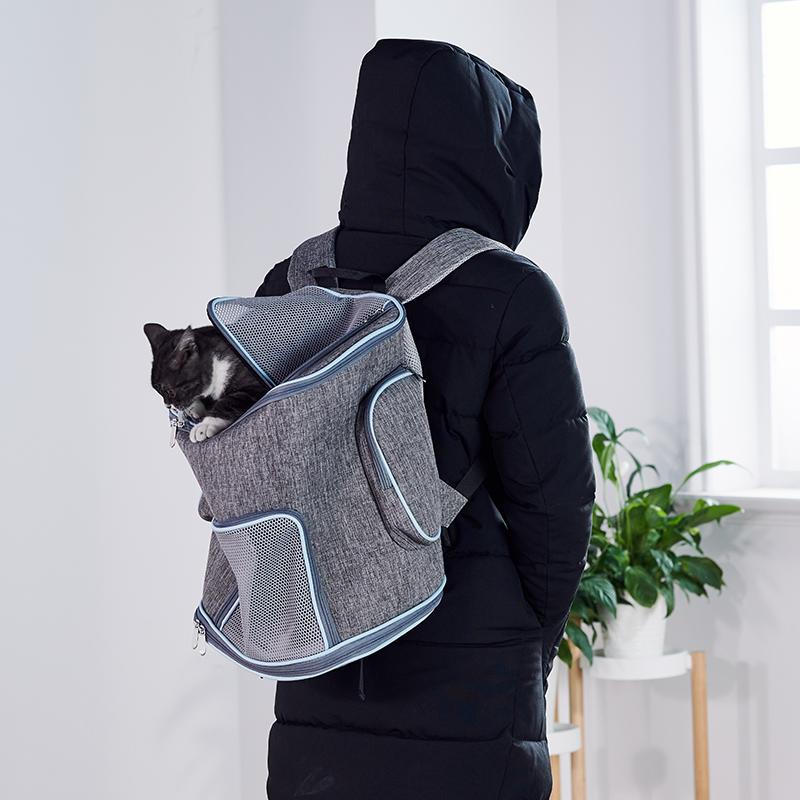 FS8001-1 PET BAG