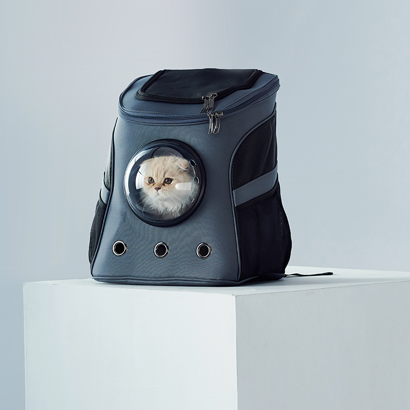PS-P21025 PET BAG