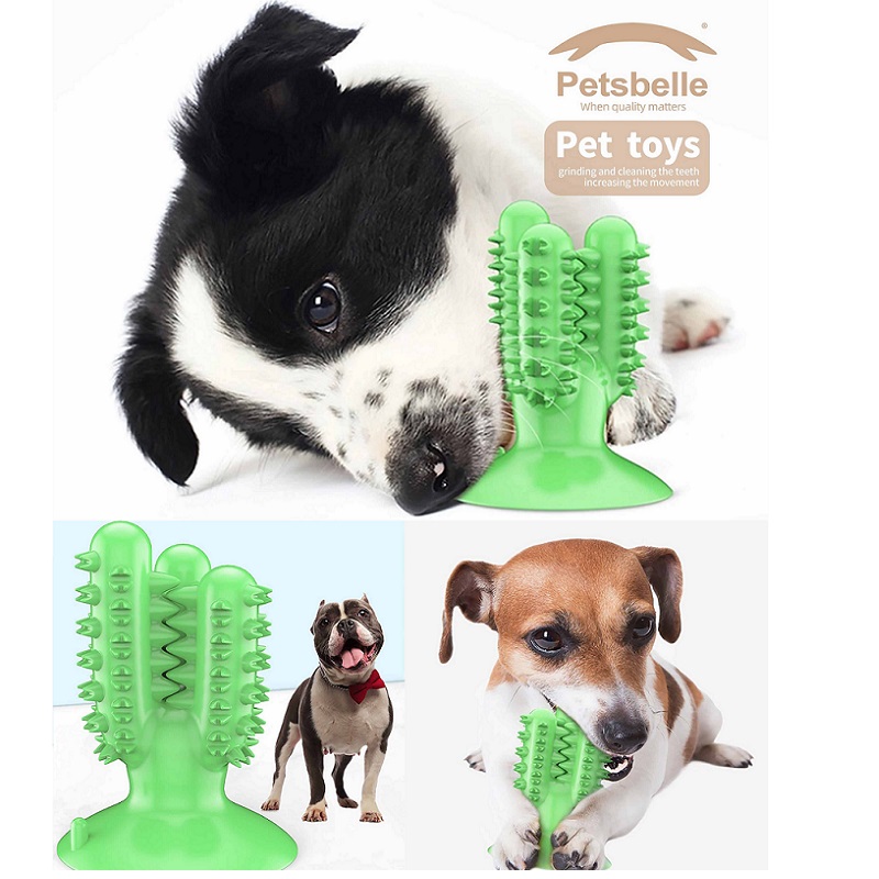 PS-T21019 PET CHEW TOY