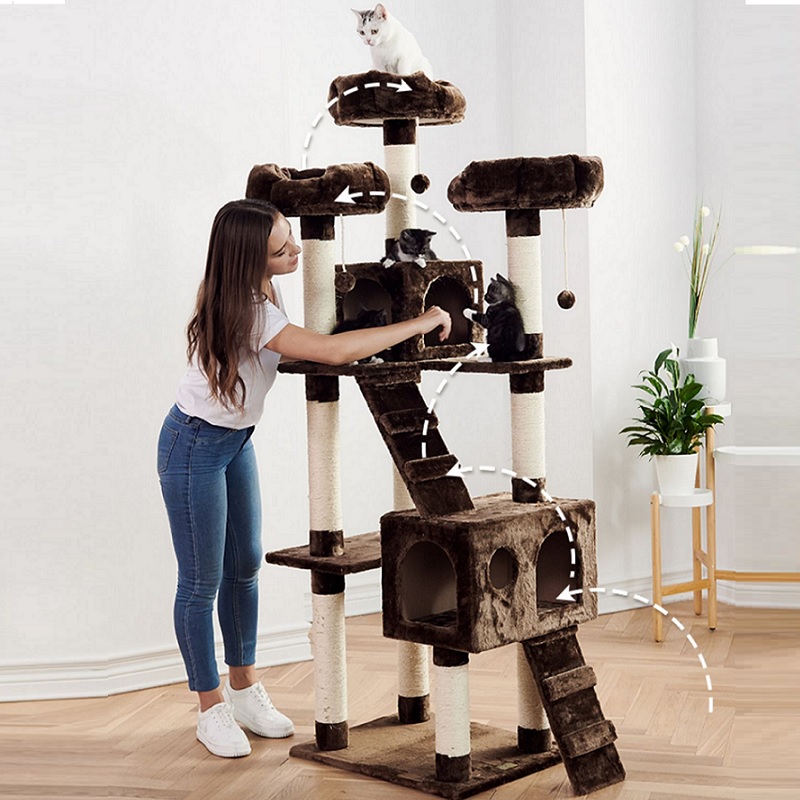 SBE2025 CAT TREE