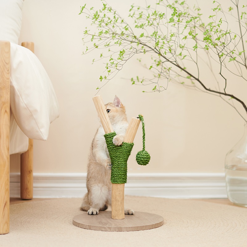 PS800 SCRATCH POST