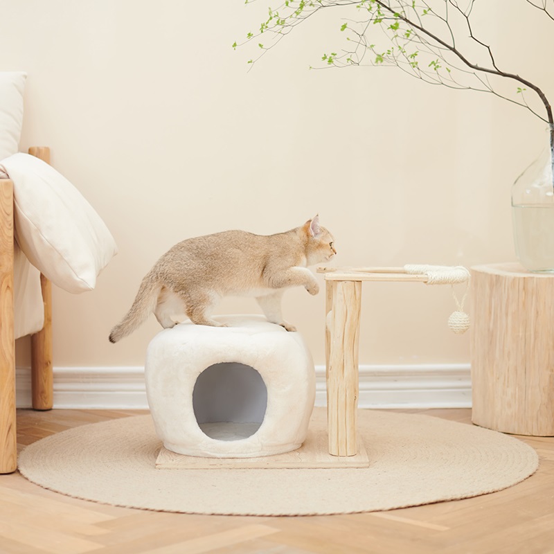 PS972 CAT CONDO